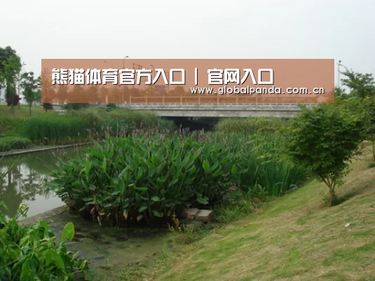 案例展示四(图1)