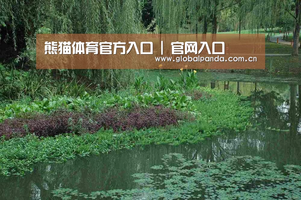 案例展示一(图1)