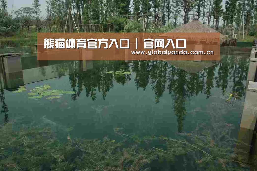 案例展示二(图1)