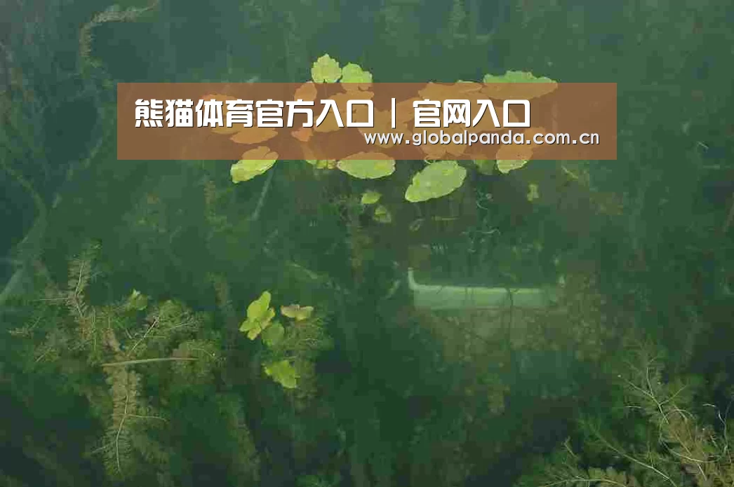 案例展示三(图1)