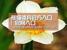 产品名称四