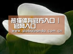 产品名称七