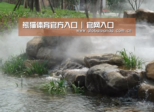 案例展示五