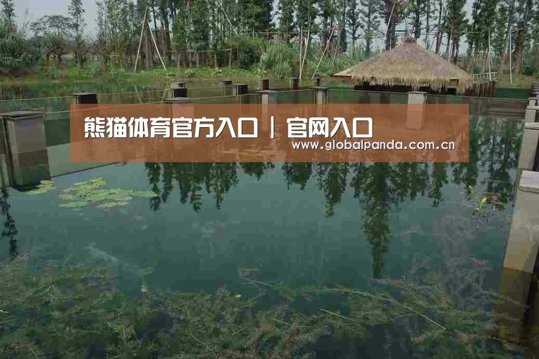 案例展示二