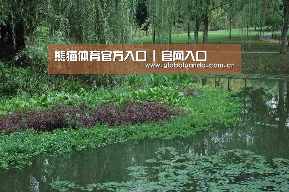 案例展示一