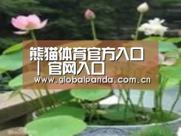 产品名称一