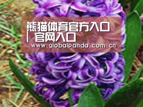 产品名称八