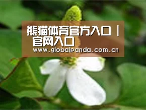 产品名称三