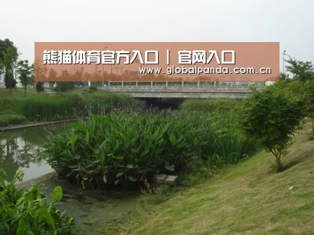 案例展示四