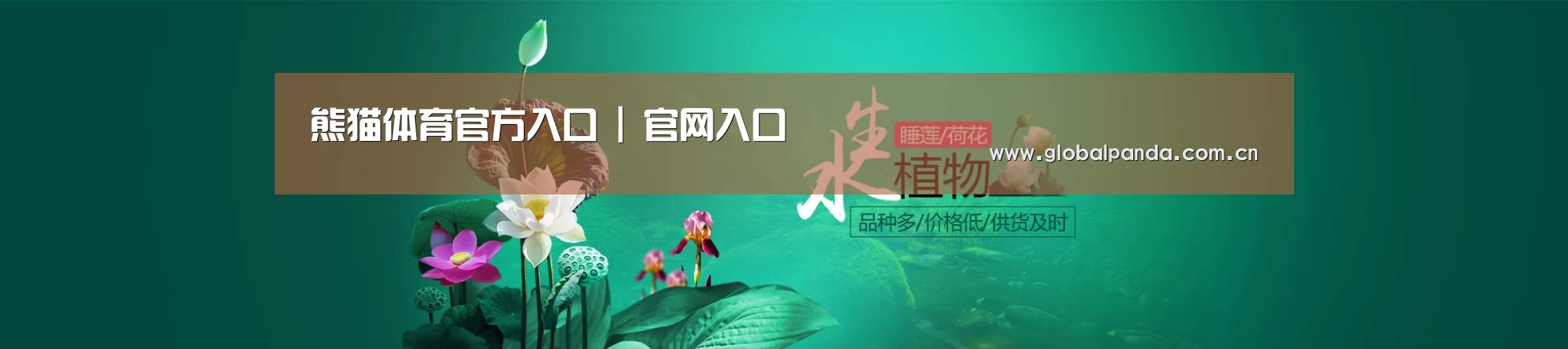 鲜花水草花卉网站模板