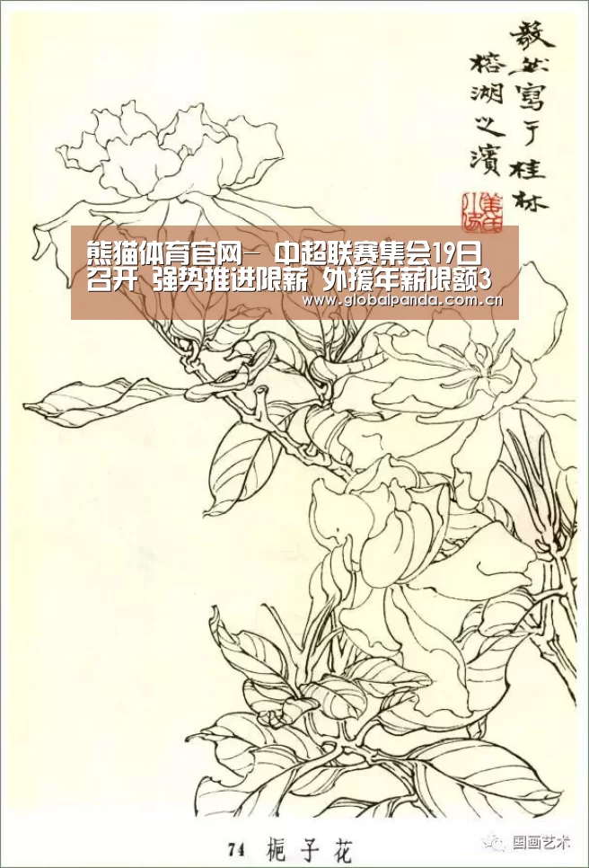 熊猫体育app