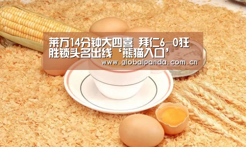 熊猫体育平台