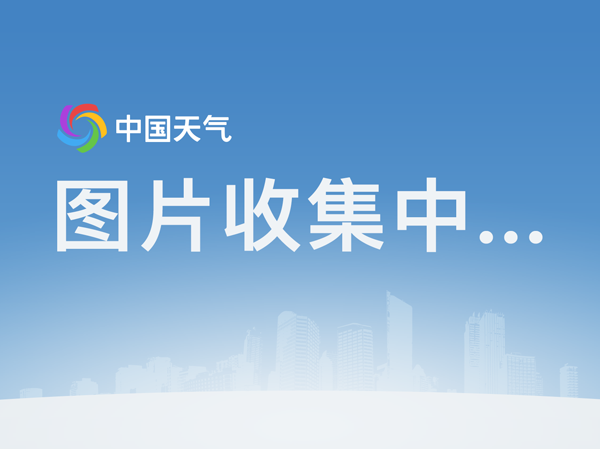 熊猫体育app