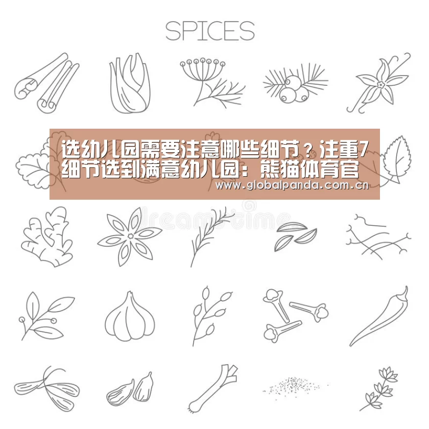 熊猫体育app