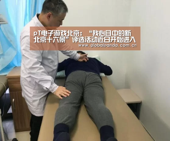 熊猫体育平台