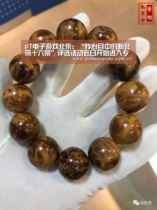 熊猫体育官网