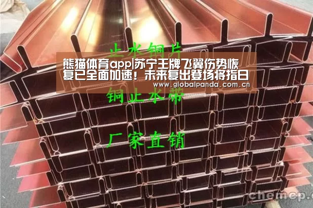 熊猫体育官网