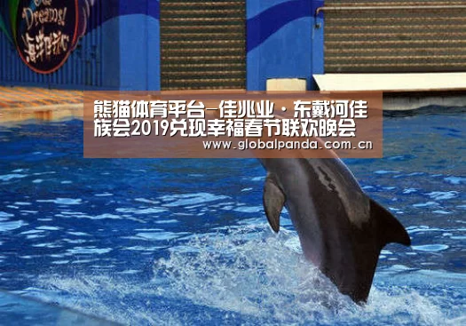 熊猫体育平台-佳兆业·东戴河佳族会2019兑现幸福春节联欢晚会浓情上演(图2) 熊猫体育平台