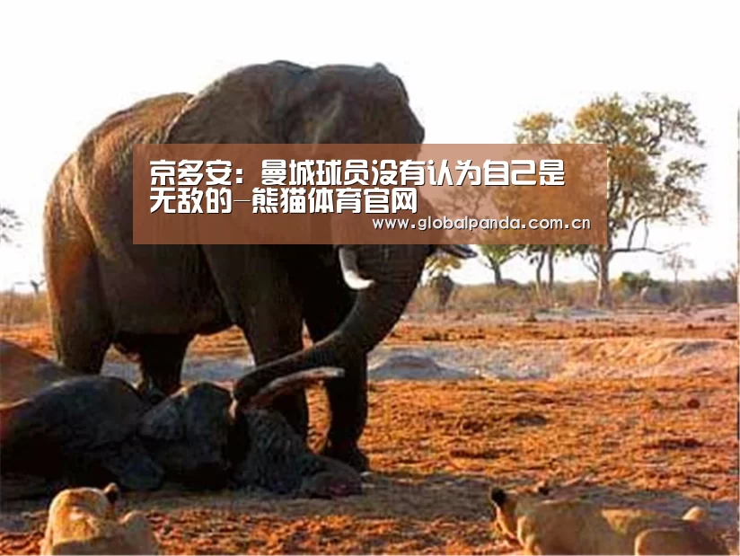 熊猫体育官网