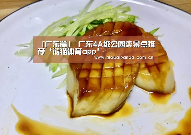 熊猫入口