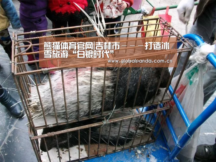 熊猫入口
